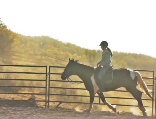 The Benefits of Horseback Riding with the Alexander Technique